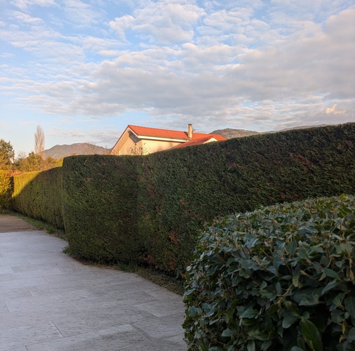 Entretien de jardin élagage